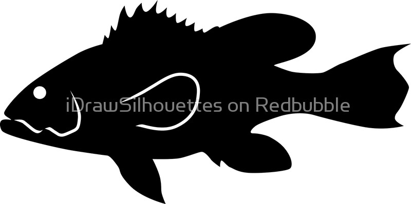 800x398 Black Sea Bass Fish Silhouette (Black) Canvas Prints By