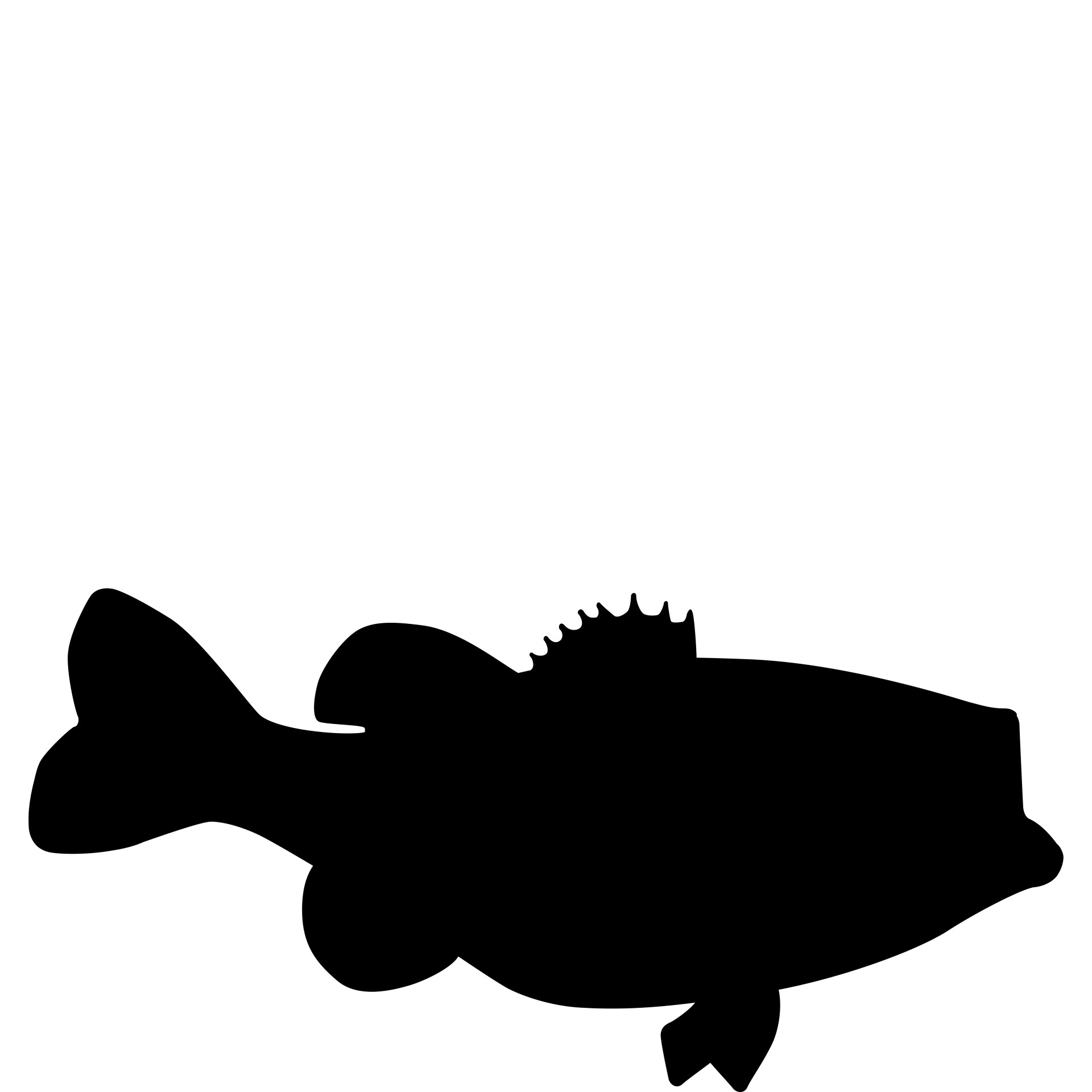 1920x1920 Sea Bass Free Stock Photo