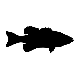 270x270 Bass Fish Silhouette Stencil Free Stencil Gallery