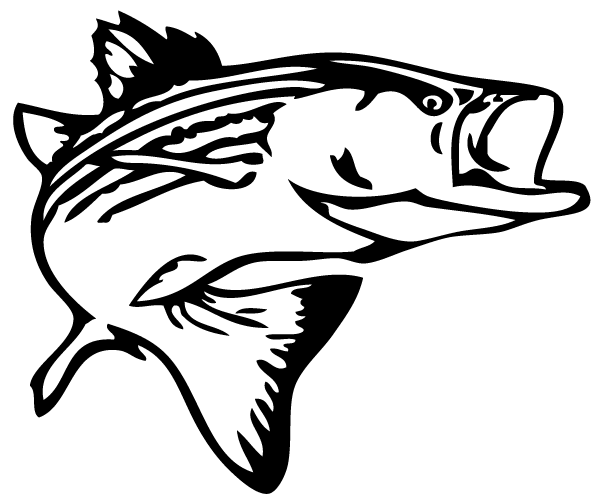 600x499 Winsome Design Bass Fish Outline Image 576 Jumping