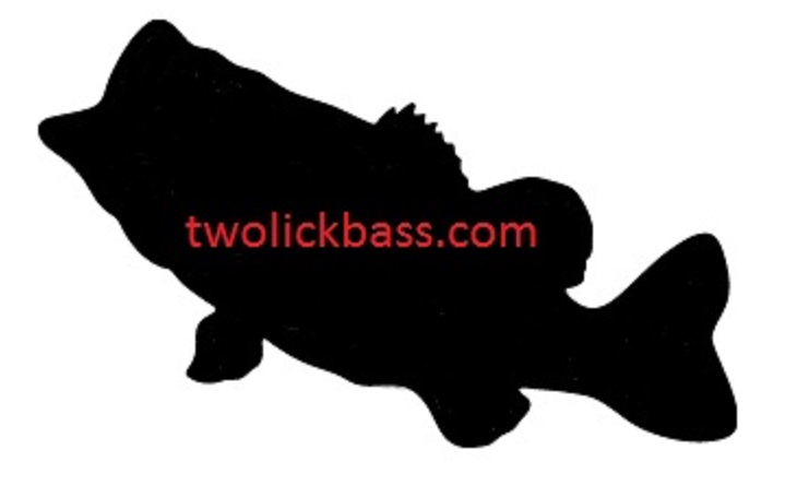 Bass Silhouette Images