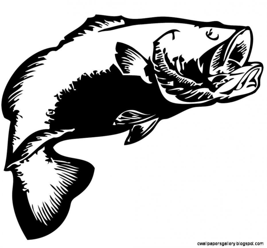 931x862 Smallmouth Bass Clip Art Wallpapers Gallery