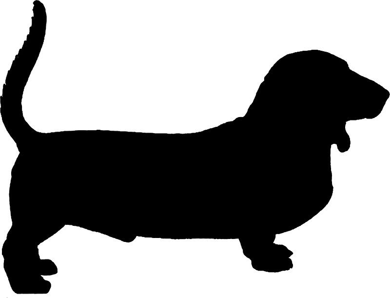 800x611 Basset Hound Black Silhouettes Basset Hound, Black