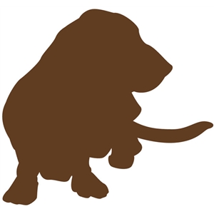 300x300 Silhouette Design Store