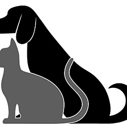 250x250 Papillion, Nebraska