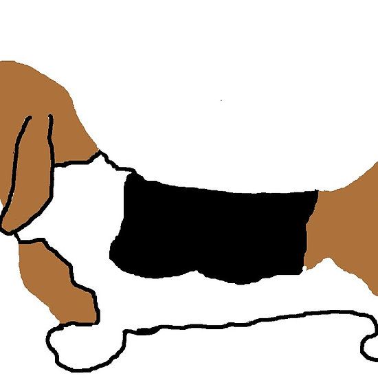 550x550 43 Best Basset Hound Images