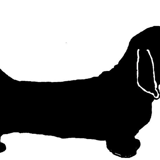 550x550 43 Best Basset Hound Images