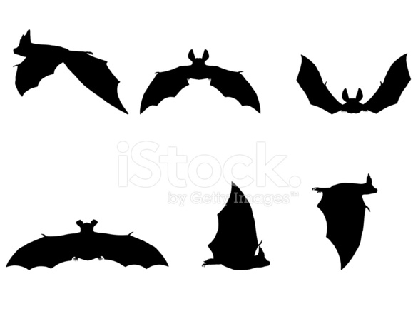 586x440 Bat Silhouette Collection Stock Vector