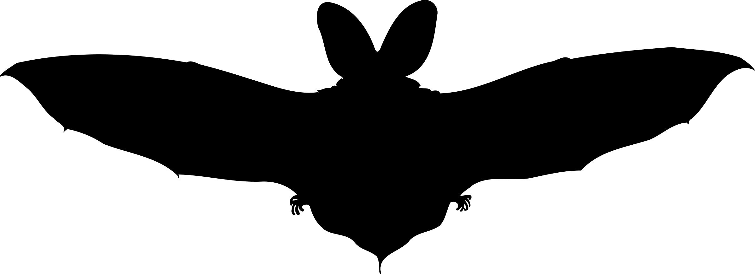 2400x873 Brown Long Eared Bat Silhouette Icons Png