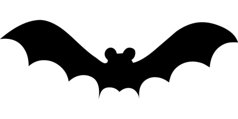 480x240 Flying Bat Template Free Printable Papercraft Templates