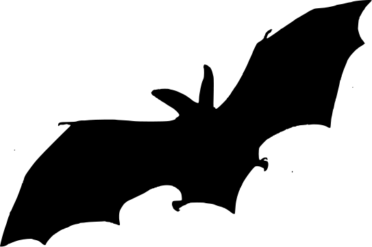 543x361 Bat Silhouette Multi Bat And Spider Templates Halloween