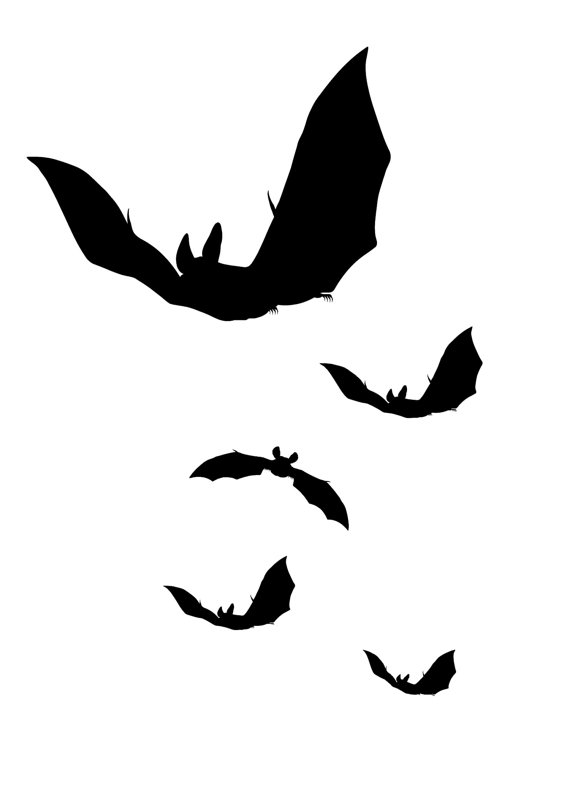 570x798 Bats Printable Art