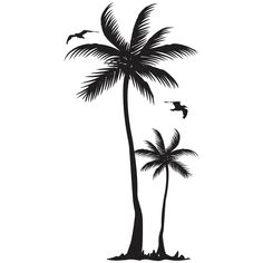 236x236 Palm And Coconut Trees Vector Silhouette