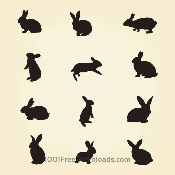 736x736 Collection Of Silhouette Rabbit Symbol Tattoo Design