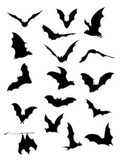 236x317 Printable Halloween Silhouettes Vector Set Of Halloween Bat