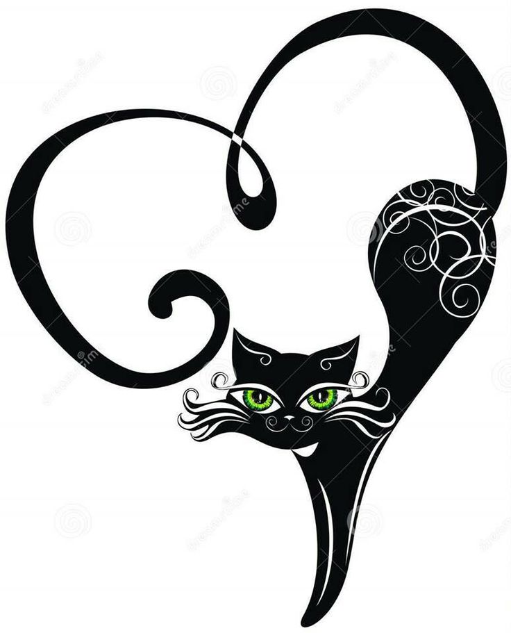 736x911 52 Best Bat Kat Themed Bathroom Images On Cat Prints