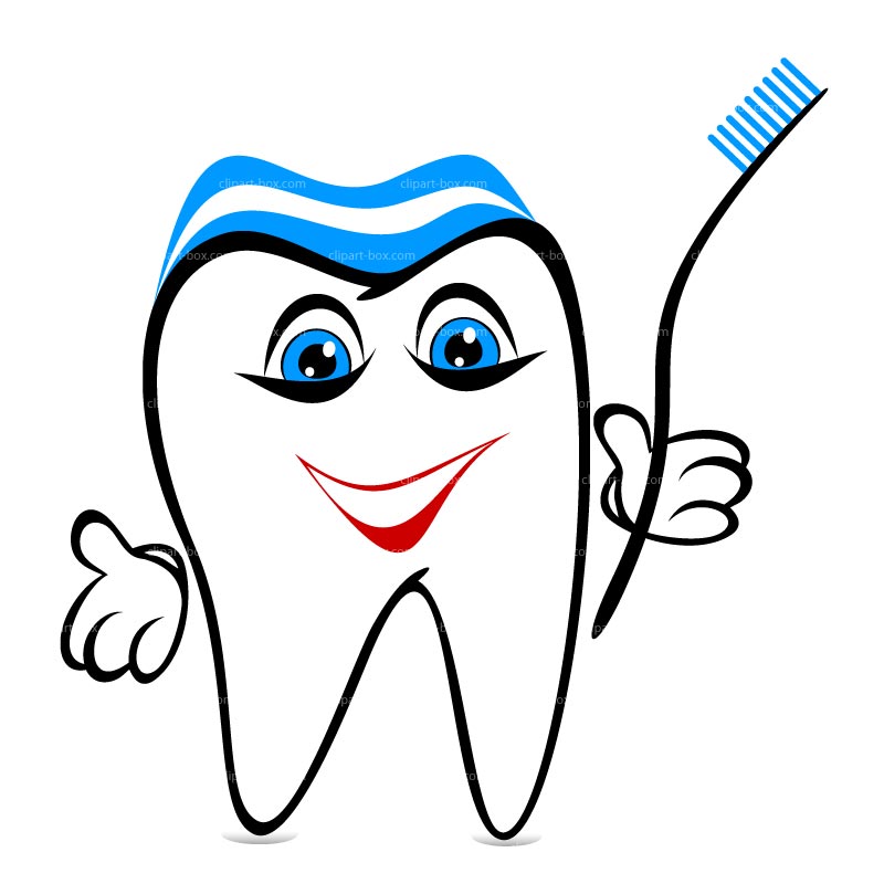 800x800 55 Free Tooth Clipart