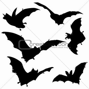 340x340 Image 2349764 Bat Silhouettes From Crestock Stock Photos