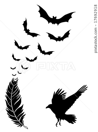 333x450 Raven Feather With Flying Halloween Bats, Vector