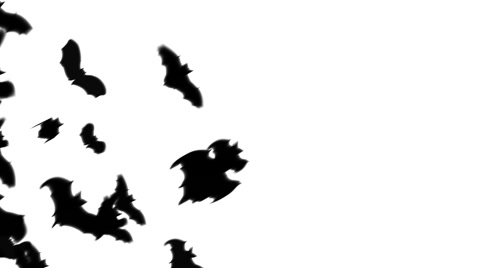 480x268 Video Group Of Bat Silhouettes Flying Across The Screen ~
