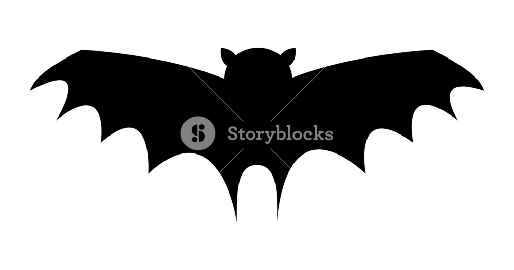 1000x526 Bat Bird Flying Shape Royalty Free Stock Image