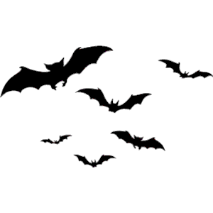 300x300 Bats Flying Clipart, Cliparts Of Bats Flying Free Download (Wmf