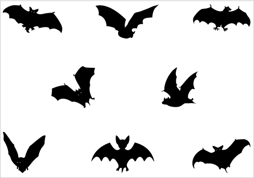 501x352 Bat Silhouette Vector