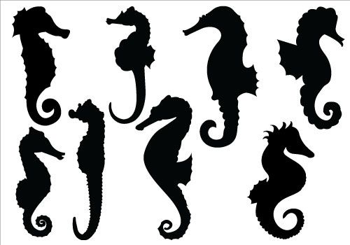 500x350 Sea Horse Silhouette Vector Clipart