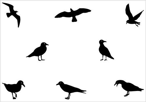 502x352 Cute Seagull Clipart