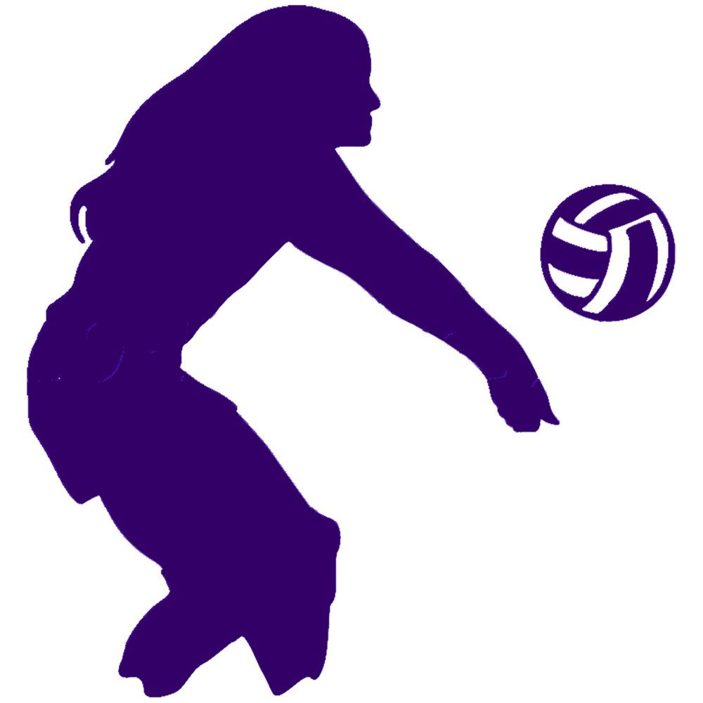 1000x1000 Womens Beach Volleyball Decal Sticker (Purple) Z Dz 1221