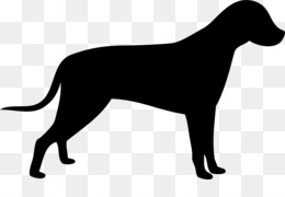 260x180 Sporting Group Png And Psd Free Download