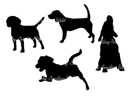 570x403 Beagle Svg Dog Breed Silhouette Clipart Vector Graphic