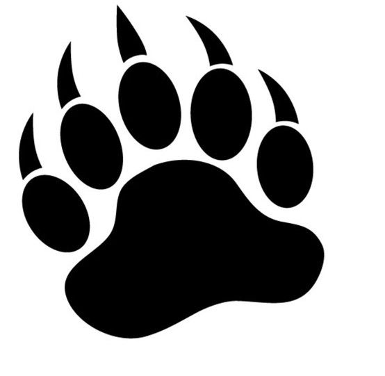 554x541 Images That Lend To My Chosen Word Idea. I Plan To Use A Bear