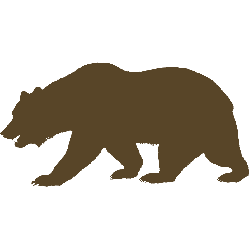 800x800 Black Bear Clipart California Bear