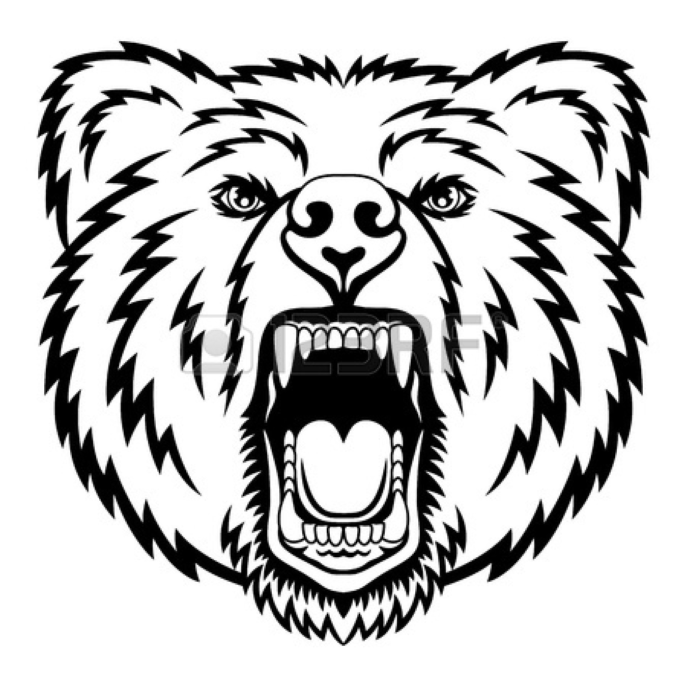 1350x1350 Grizzly Clipart