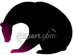 300x226 Of A Black Bear