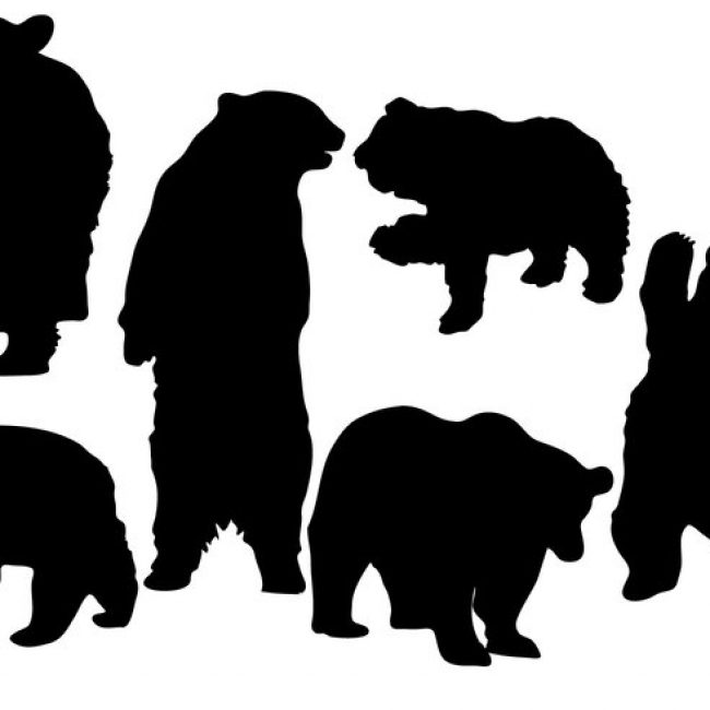 650x650 Free Vector Free Bear Silhouette Vector