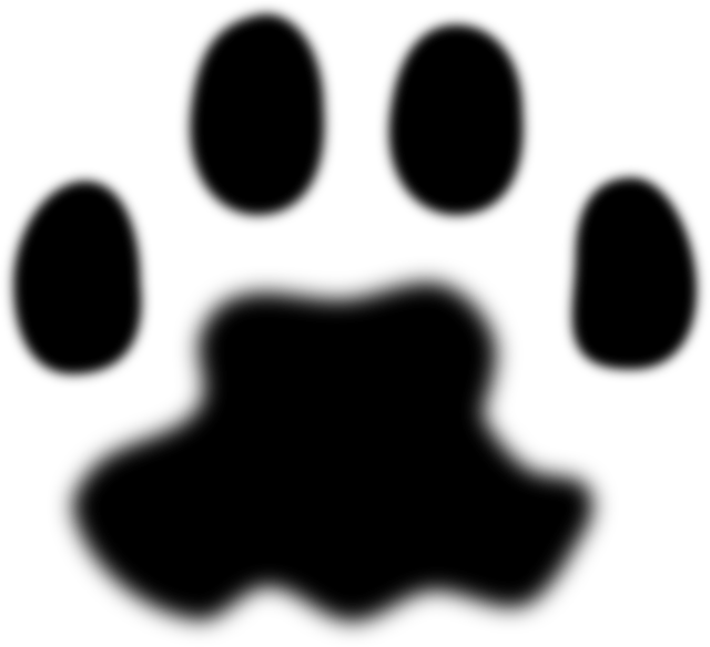 640x584 Free Pictures Silhouette