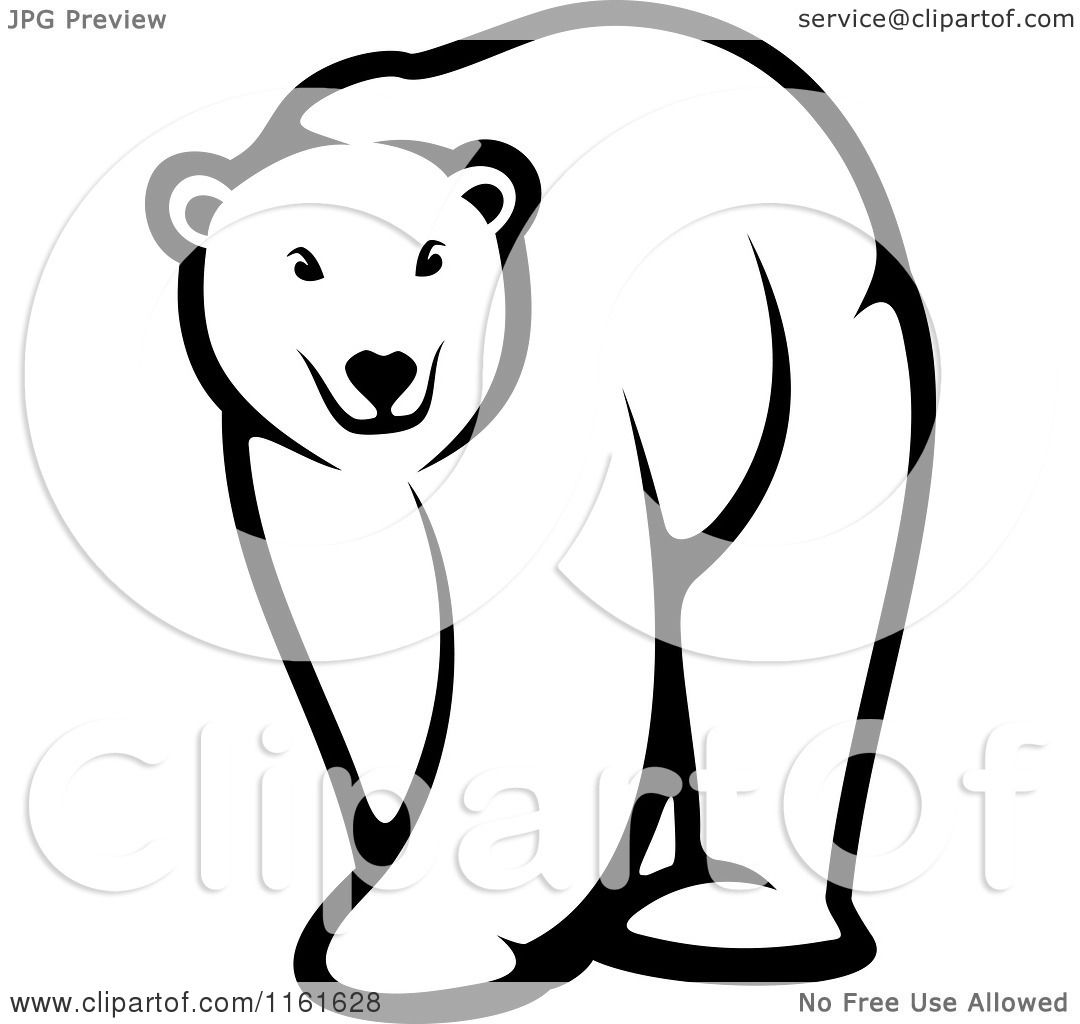 1080x1024 Clipart Of A Black And White Walking Polar Bear