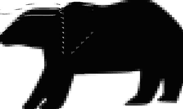 596x355 Bear, Tolerate, Outline, Animal, Physical, Silhouette, Black, Dark