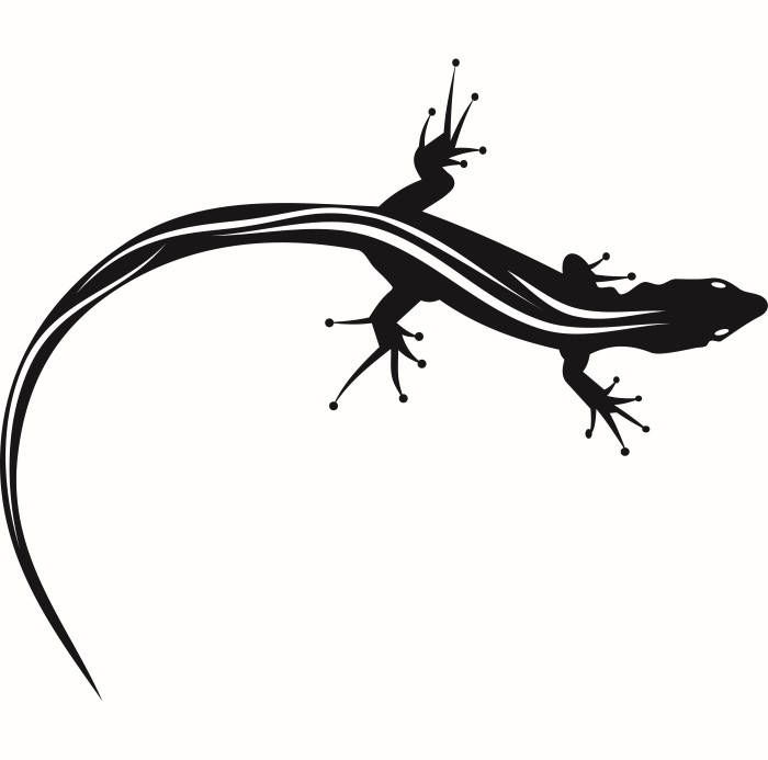 700x693 Lizard