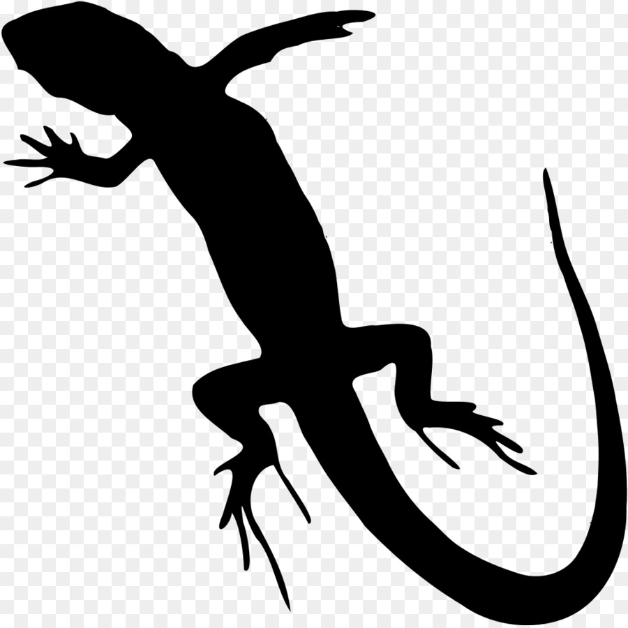 900x900 Lizard Reptile Clip Art