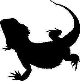 Bearded Dragon Silhouette at GetDrawings | Free download