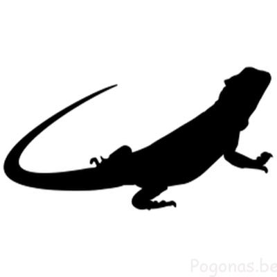 Download Bearded Dragon Silhouette at GetDrawings.com | Free for ...