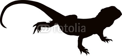 400x183 Australian Bearded Lizard Silhouette Wildlifeampanimals