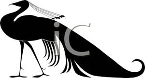 300x162 Peacock Silhouette