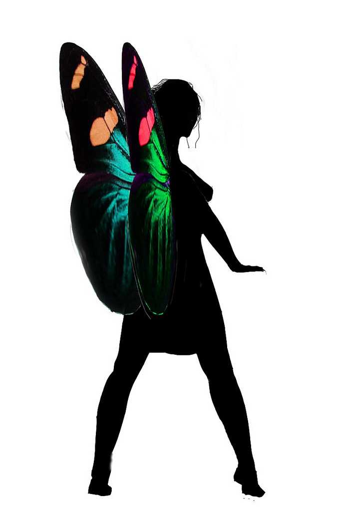 683x1024 The World's Best Photos Of Fairies And Silhouette