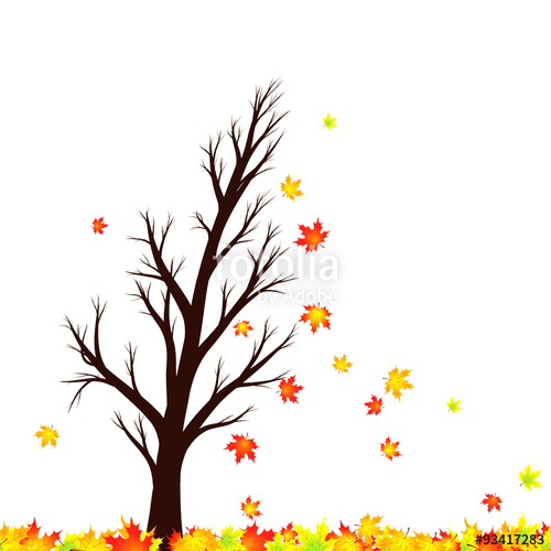 500x500 Lovely Autumn Season Maple Tree Silhouette With Red And Gold