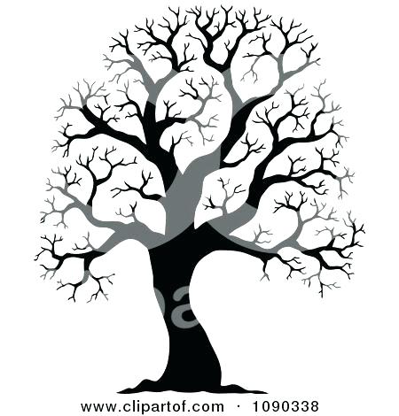 450x470 Beautiful Leafless Tree Coloring Page Online Bare Outline Pages