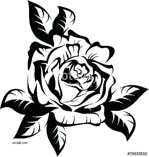 477x500 Beauty And Beast Outline Silhouette Outline Beauty And